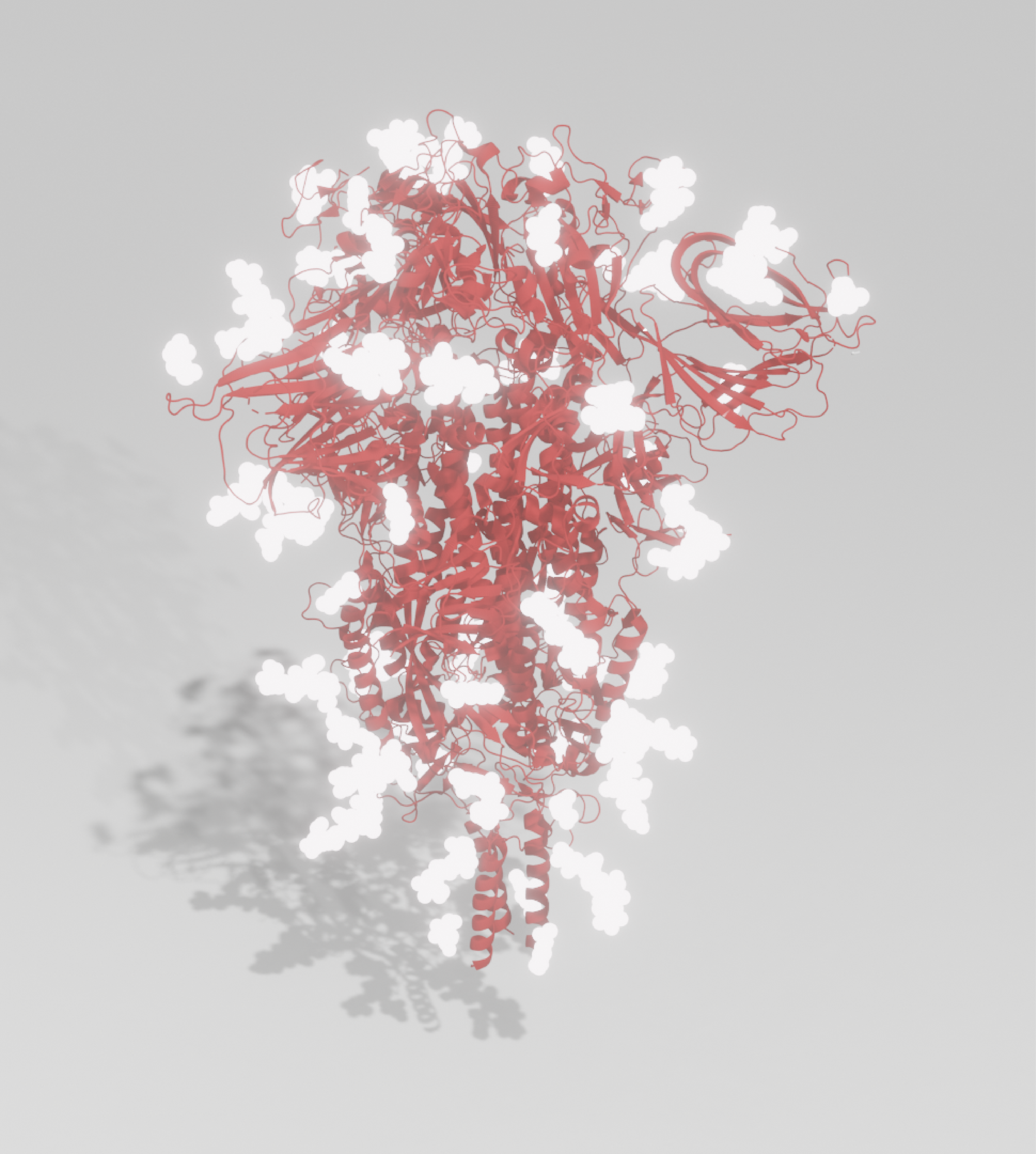 Red Spike Trimer, White Glycans