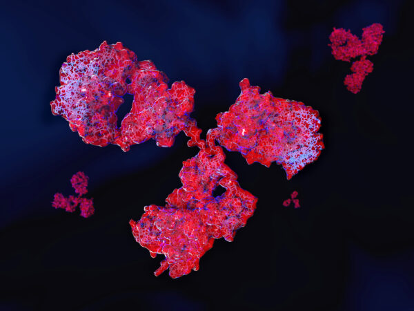 Influenza A antibody (HL1078)