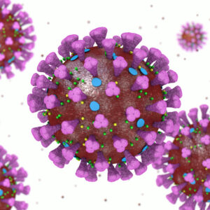 Influenza A/Wisconsin/588/2019 (H1N1)pdm09-like virus NA