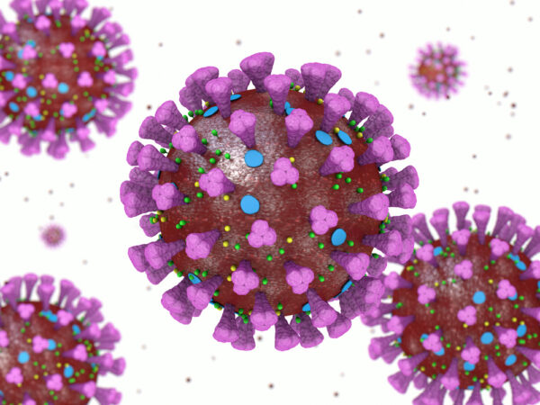 Influenza A/Wisconsin/588/2019 (H1N1)pdm09-like virus NA