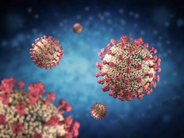 Influenza A/Wisconsin/588/2019 (H1N1)pdm09-like virus HA