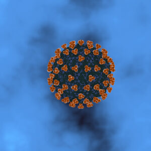 Parainfluenza Virus 3 Fusion
