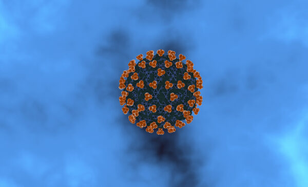 Parainfluenza Virus 3 Fusion