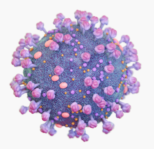 HIV gag protein