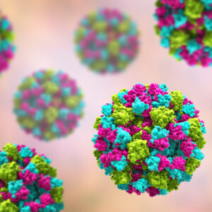 Norovirus GII.4 VLP