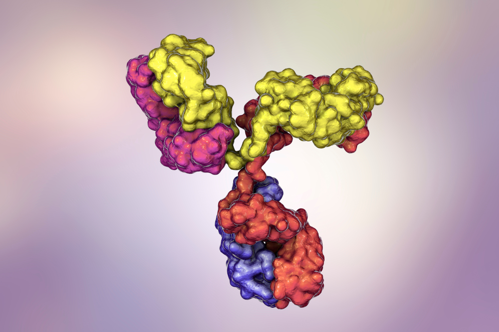 Igg Antibody Photos and Images & Pictures