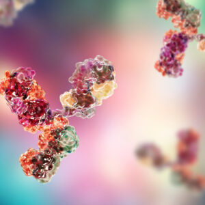Anti-Giardia Monoclonal Antibody (E4)