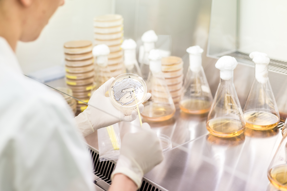 Contract Services - The Native Antigen Company