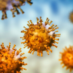 Influenza A/Darwin/6/2021 (H3N2)-like virus