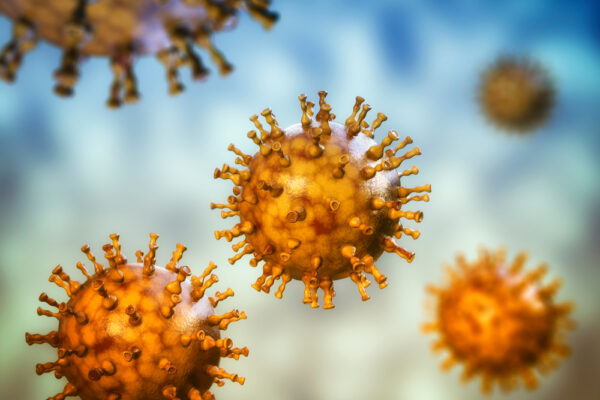 Influenza A/Darwin/6/2021 (H3N2)-like virus