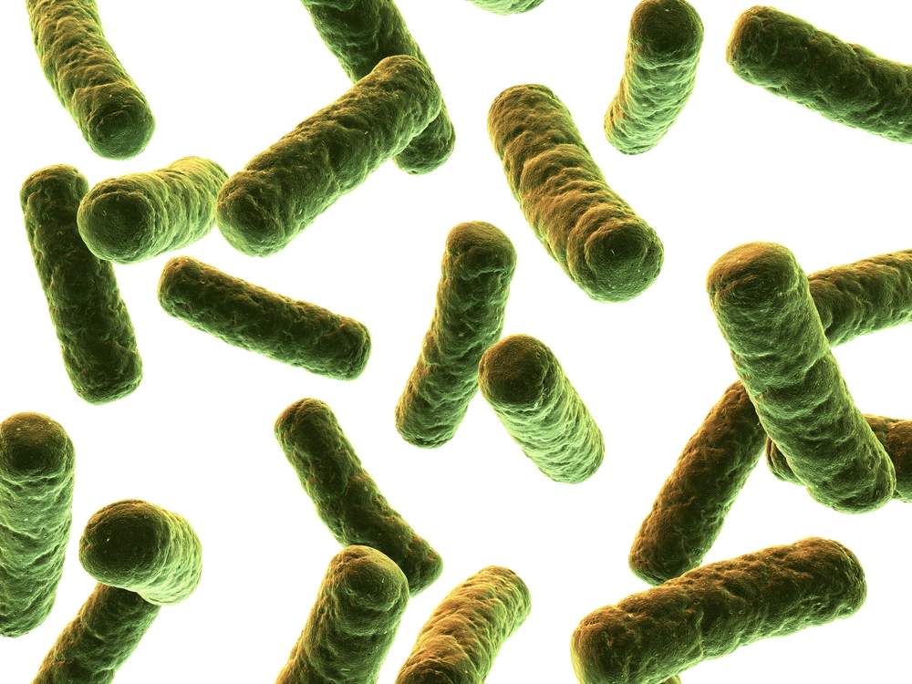 Staphylococcus Aureus Cells, Heat-Inactivated