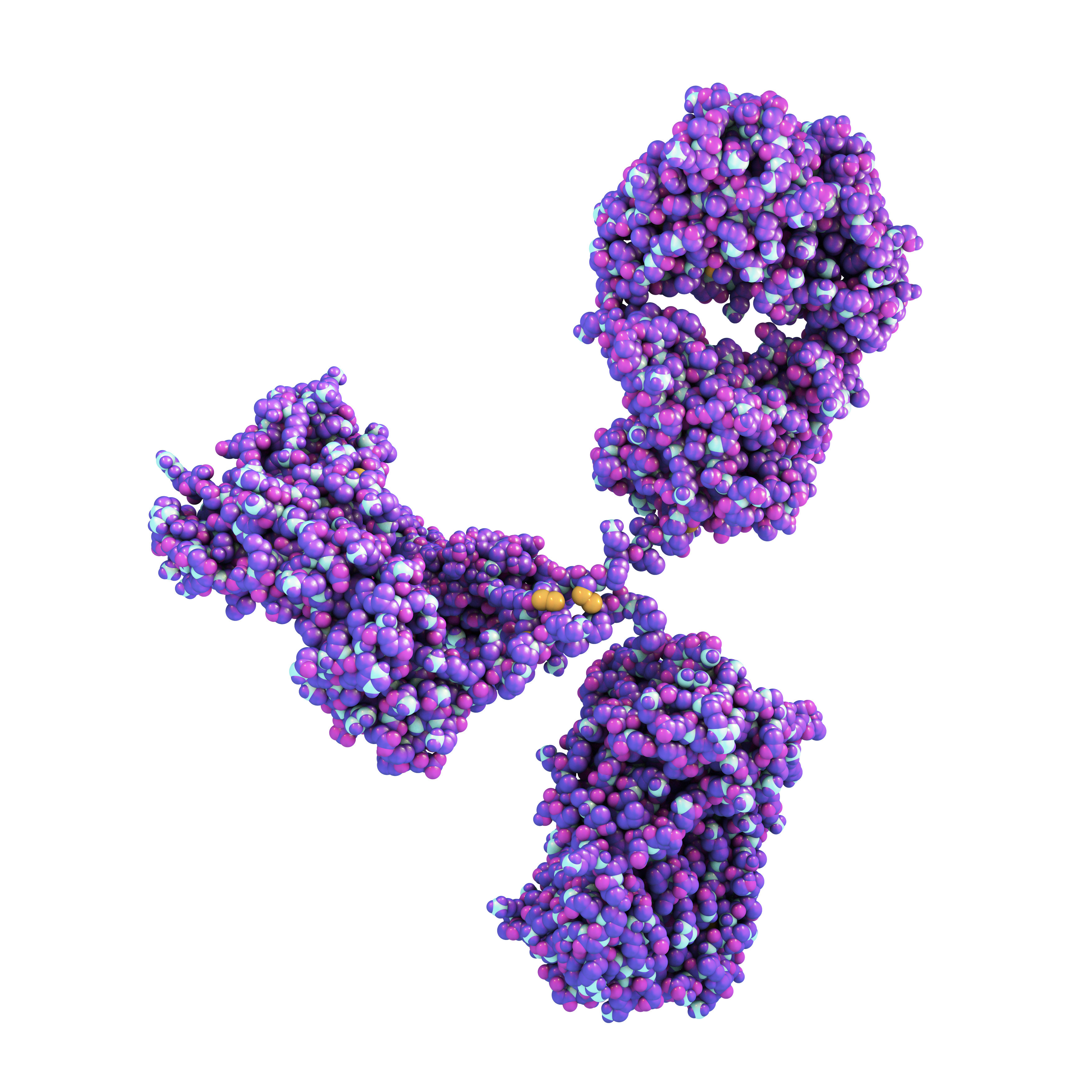 Human IgM SARS-CoV-2 (AD10)