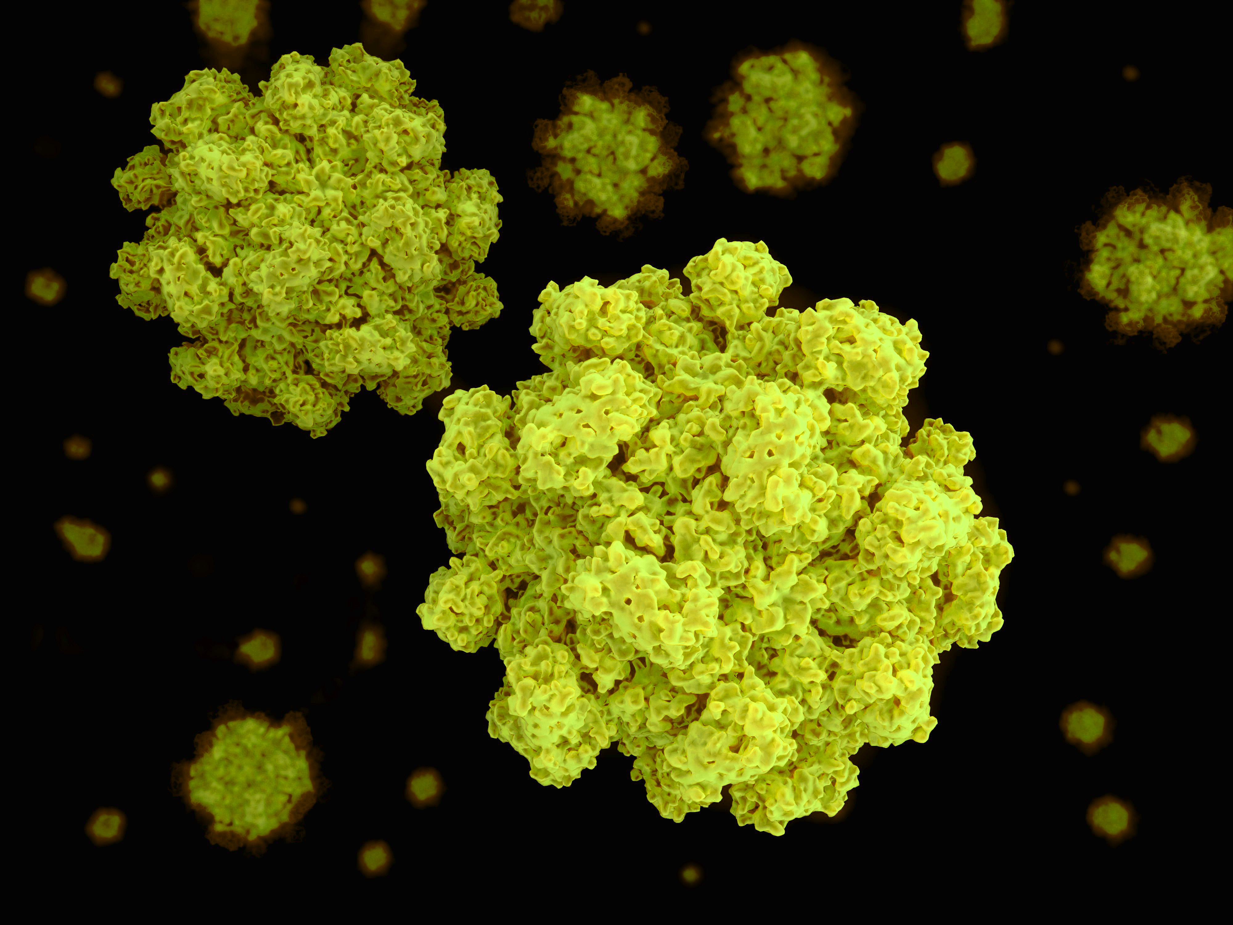 Norovirus GIX.1 VLP