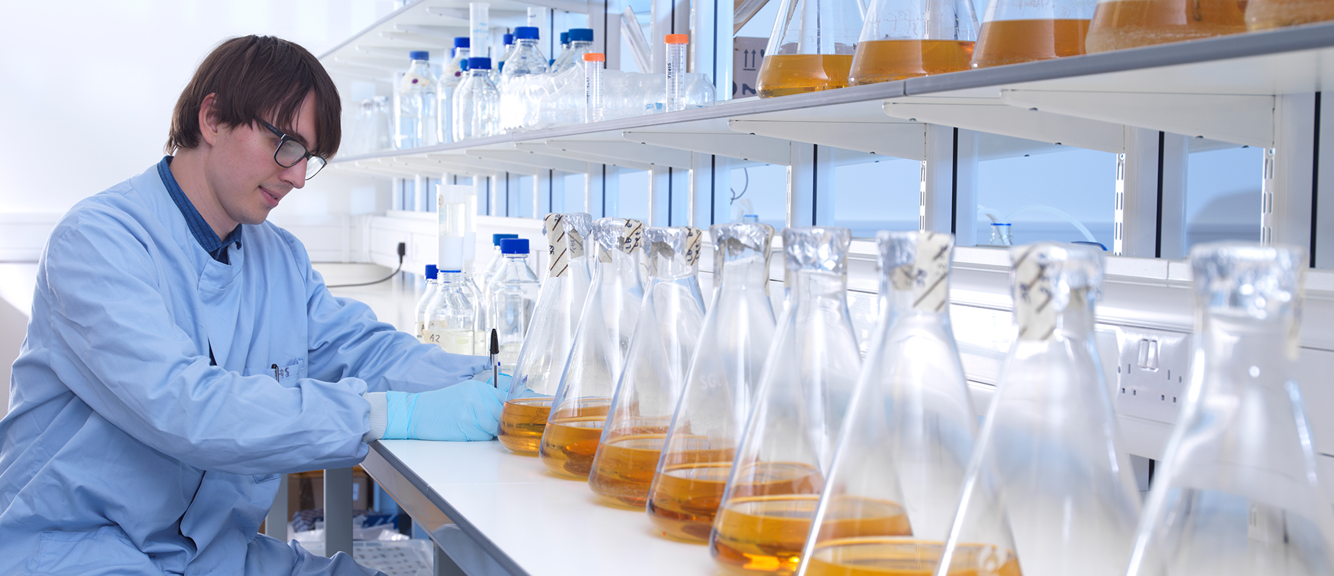 Bacterial Antigens, Antibodies, and custom solutions for your research