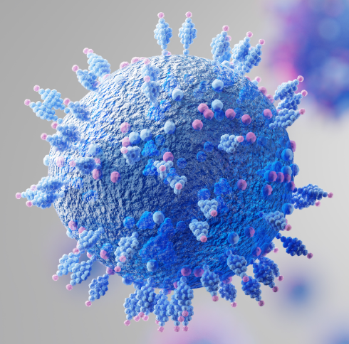 Norovirus 3D model