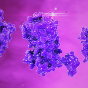 Human Chorionic Gonadotropin Hormone (subunit alpha+beta), Recombinant