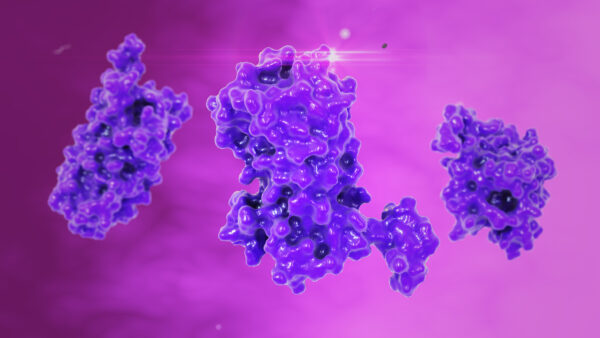 Human Prolactin Hormone, Recombinant