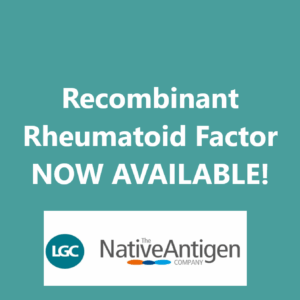 Rheumatoid Factor, Recombinant